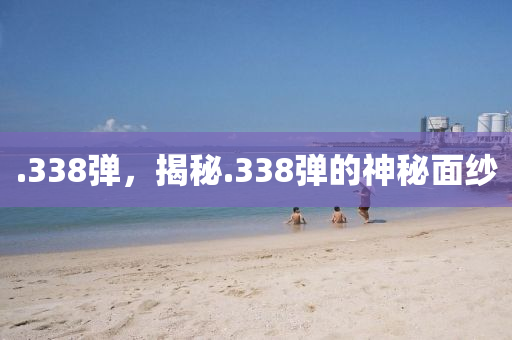 .338彈，揭秘.338彈的神秘面紗